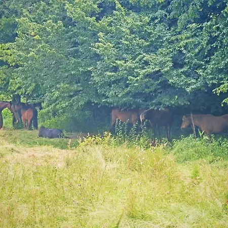 Séjour à la campagne Refuge De Bonlieu *